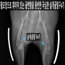쥬만지동물의료센터