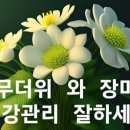 동부배드민턴