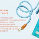 페츠베리머치
