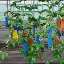 전라남도 농업기술원 과수연구소 이미지