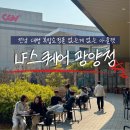 포멜카멜레LF
