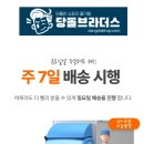 당돌브라더스