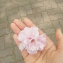 늘푸른쌈집 | ~220428 랩실일기