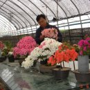 영남농장 이미지