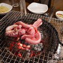 유정장어 이미지
