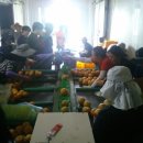 여주-0744 이미지