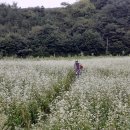 두원마을 이미지