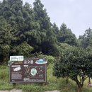 천두목장 | 25.9.12 제주도 여행 1일차 -두 번째 (금오름, 성이시돌목장, 산양큰엉곶, 영락리방파제, 봉순이네 흑...