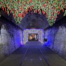 문경 오미자테마터널 이미지