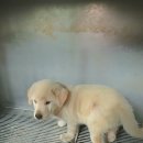 내수3리경로당 이미지