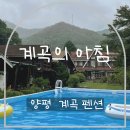 계곡의아침 | 양평 수영장 계곡 펜션 추천! 계곡의 아침 10인 해바라기방 후기🌿