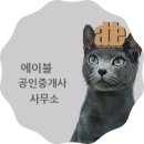 에이블공인중개사사무소 이미지