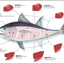 인기참치 이미지