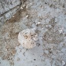 대광클리닝 이미지