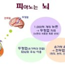 칸타타음악학원 - 강화군 북문길 7-1 | 칸타타음악학원