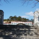 안좌초등학교 Daum카페