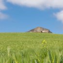 대천목장 이미지