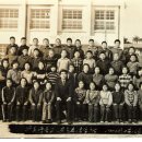 중앙초교 이미지