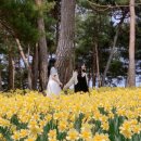 서산농협미곡종합처리장 이미지