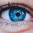 안경제작소 이미지