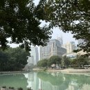 예원약국 | [ 🇨🇳상하이 여행 ep.3 ] 점도덕 + 동북인가 푸파하고 예원에서 야경본 상하이 마지막 날❤️‍🔥