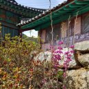 전북 전주 금산사 &amp; 모악산 산행
