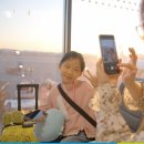 도토리하우스 이미지