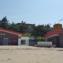 하마 농장 이미지