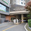 기흥퍼스트 태권도 이미지