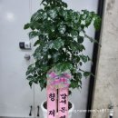 벌교이마트 이미지