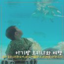 아이스크림살래파인점 | 아기랑 오키나와 여행 3일차 츄라우미 수족관 국수맛집 파인애플파크 만좌모 하마스시