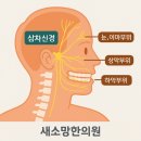 새소망한의원 이미지