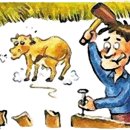 소 외양간 이미지