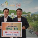 엠시티 이미지