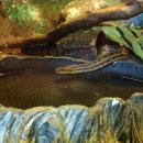 주주(ZOO ZOO) 이미지