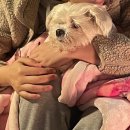 솔밭주유소 이미지