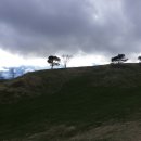 가사목장 이미지