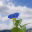 실버책놀이 지도사 1급 | 시니어책놀이지도사 실버책놀이지도사