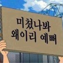 일리투네일