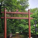 자인계정숲(씨름장) 이미지