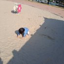 도남어린이집 이미지