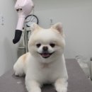 무브멍트 이미지