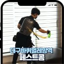 대구방역 | 신혼집 베란다 바퀴벌레 발견 후 대구 방역 업체 이용 후기 대구 바퀴벌레 예방방역 추천