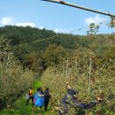 중근농장 이미지