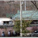 대성장어 이미지