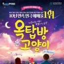 옥탑방 고양이 이미지