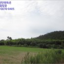 장촌리 이미지