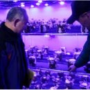 시영농장 이미지