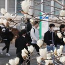 대학기획 이미지