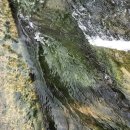 2020-주151 이미지